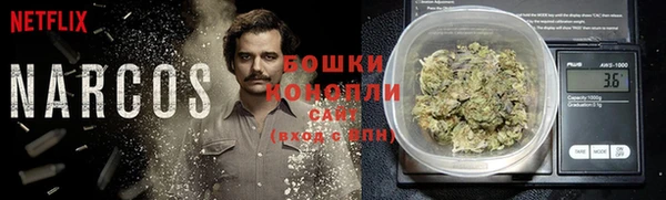 круглые Гусев