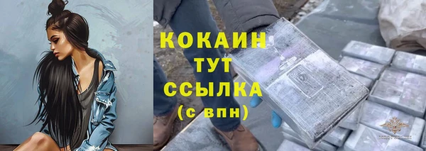 круглые Гусев