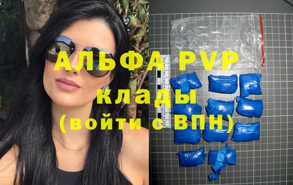 индика Гусиноозёрск
