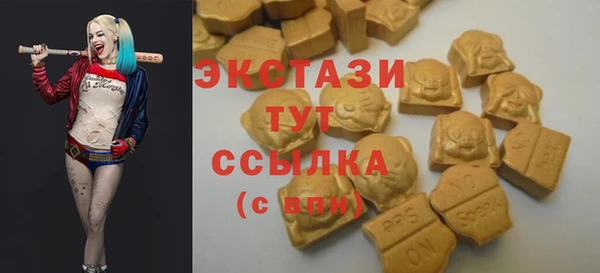 индика Гусиноозёрск