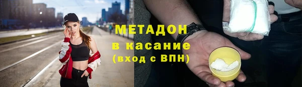 индика Гусиноозёрск