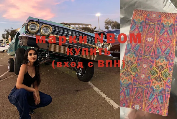 индика Гусиноозёрск