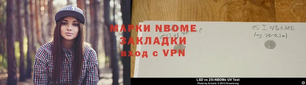 индика Гусиноозёрск