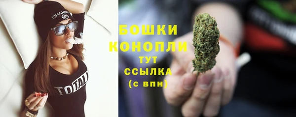 ГАЛЛЮЦИНОГЕННЫЕ ГРИБЫ Дмитров