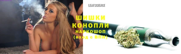 ГАЛЛЮЦИНОГЕННЫЕ ГРИБЫ Дмитров