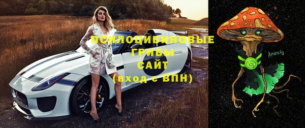 молекула духа Гусь-Хрустальный