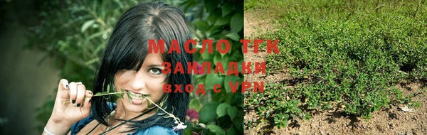 круглые Гусев