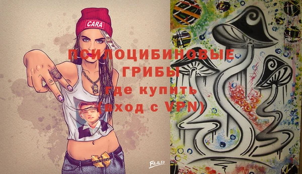 индика Гусиноозёрск