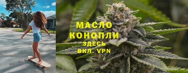 индика Гусиноозёрск
