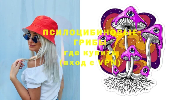 молекула духа Гусь-Хрустальный