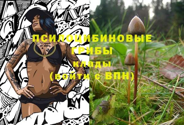 молекула духа Гусь-Хрустальный