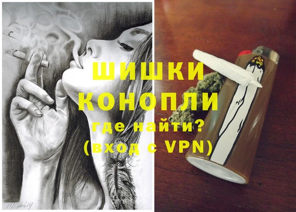 круглые Гусев