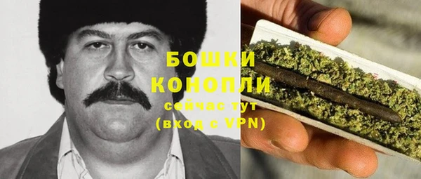 индика Гусиноозёрск