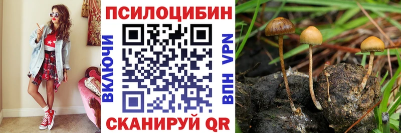 Псилоцибиновые грибы Psilocybine cubensis  Гаврилов Посад 